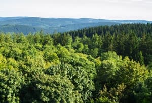 Distretto di Waldeck-Frankenberg