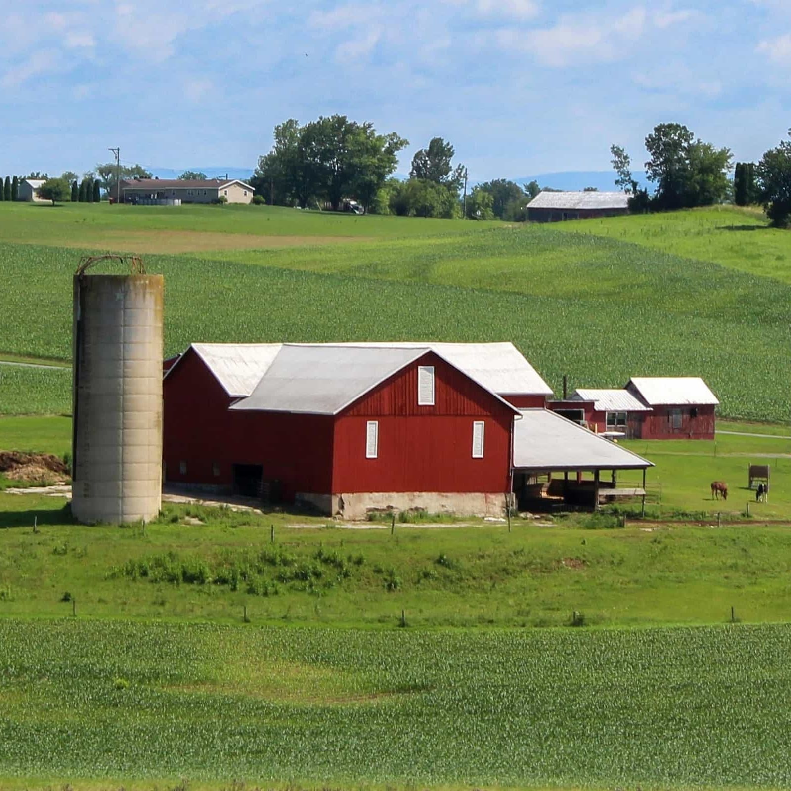 Fattoria