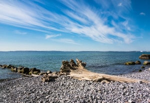 Bagliore