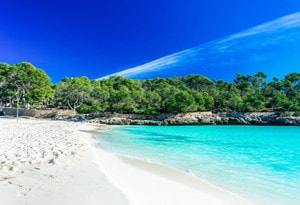 Maiorca Est