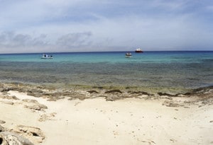 Trapani e dintorni