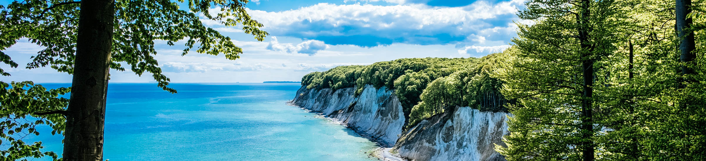 Blick auf die Kreidefelsen auf Rügen